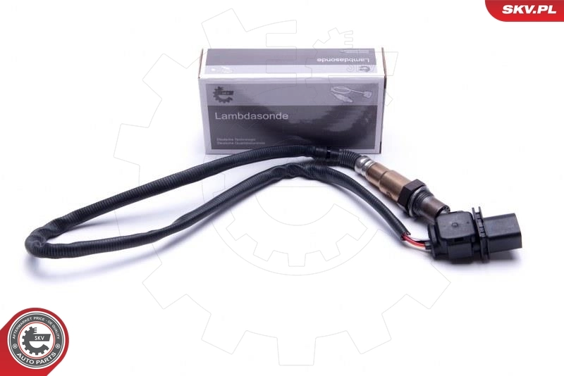 Oxygen Sensor